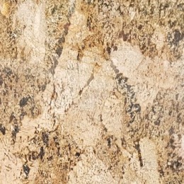 Alaska Gold Granite