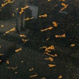Fish Gold Granite