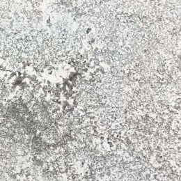 Oyster White Granite
