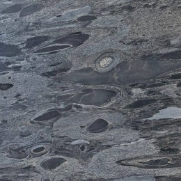 Silver Leaf Slatestone