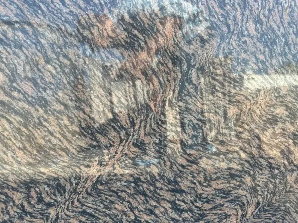 Tiger Skin 1 1200x900